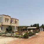 profile profile