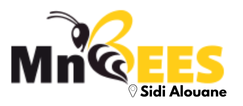 MnBees Mahdia - Sidi Alouane